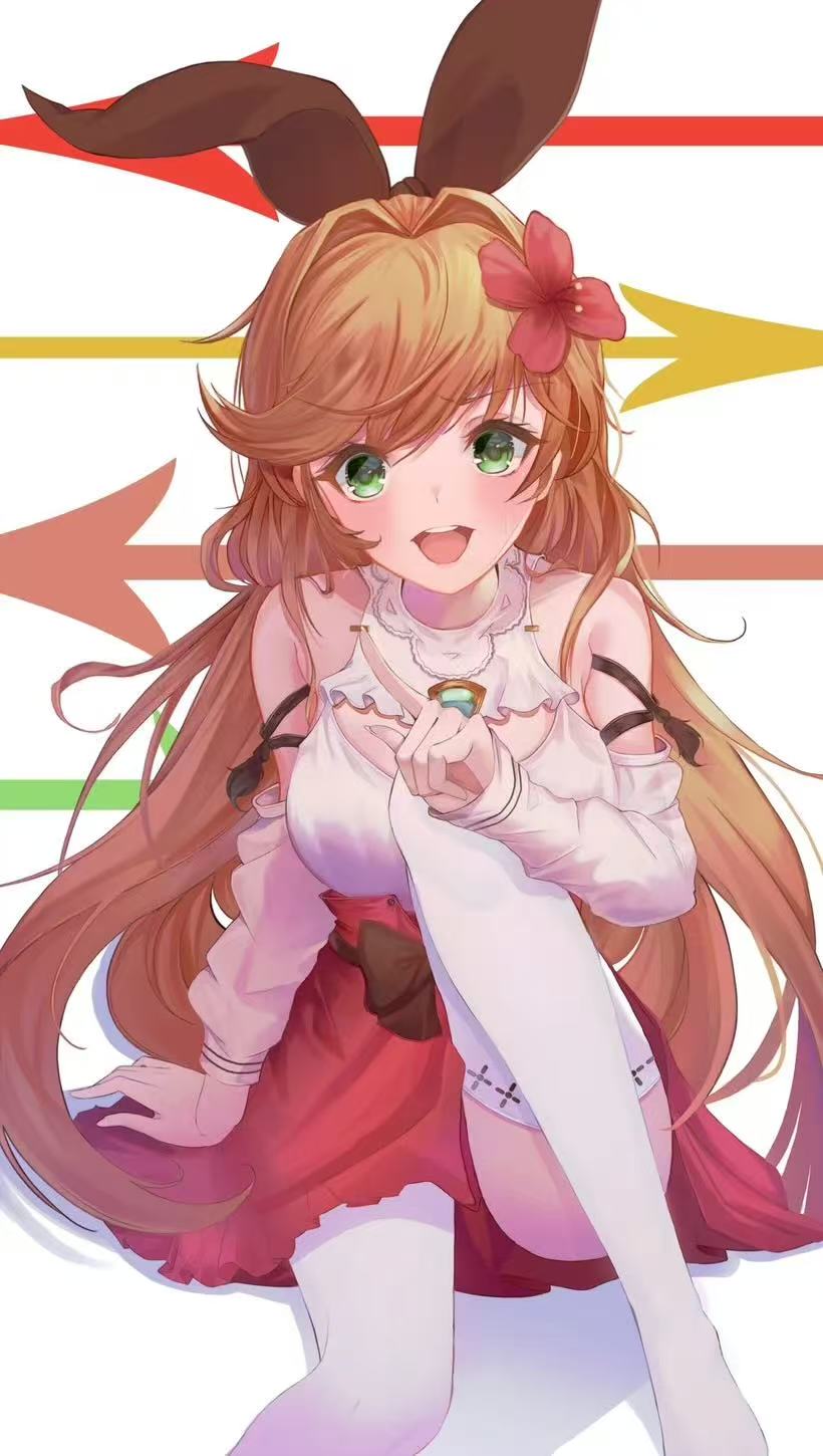 拒绝碧蓝幻想无限loading，超全网络优化与轻蜂加速指南 文章配图